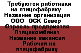 Требуются работники на птицефабрику! › Название организации ­ ООО “ОСК Север“ › Отрасль предприятия ­ Птицекомбинат › Название вакансии ­ Рабочий на птицефабрику › Подчинение ­ Вахтовый метод › Минимальный оклад ­ 24 000 - Ставропольский край, Благодарненский р-н, Благодарный г. Работа » Вакансии   . Ставропольский край